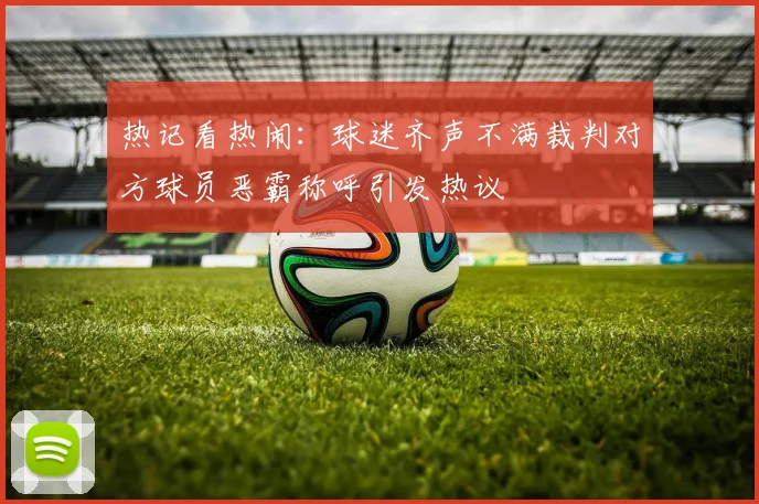 热记看热闹：球迷齐声不满裁判对方球员恶霸称呼引发热议