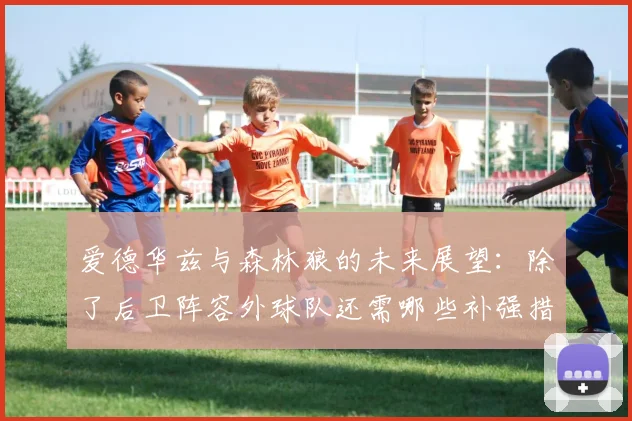 爱德华兹与森林狼的未来展望：除了后卫阵容外球队还需哪些补强措施