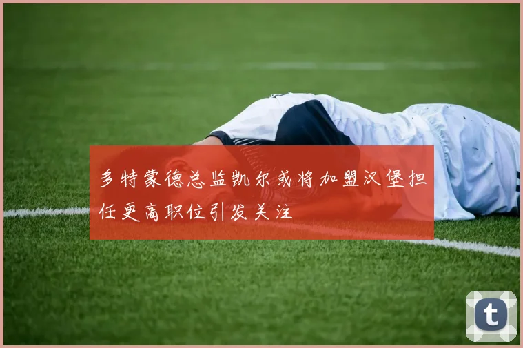 多特蒙德总监凯尔或将加盟汉堡担任更高职位引发关注